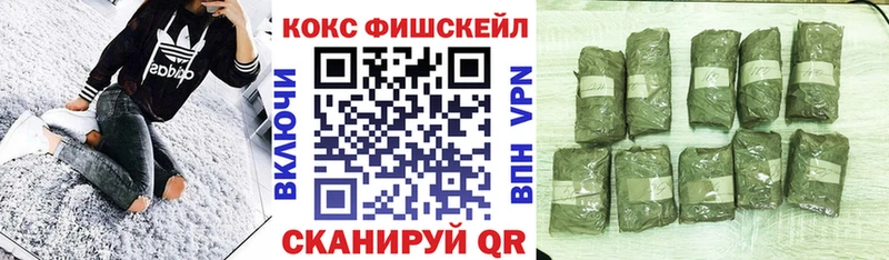 Кокаин Эквадор Татарск