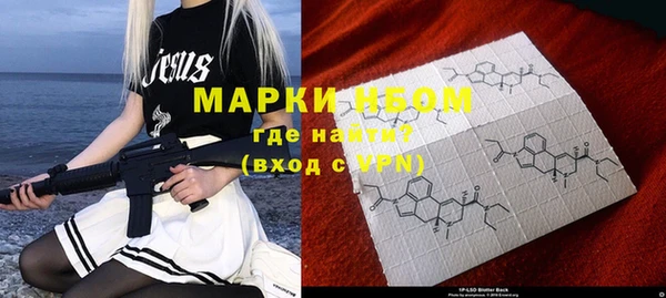 прущие грибы Алексеевка