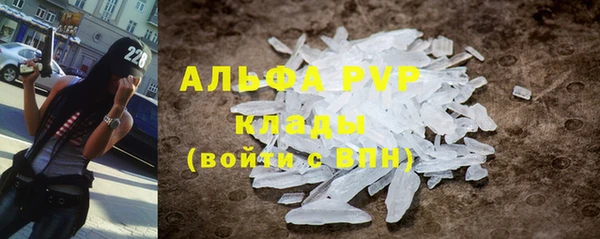 тгк Абаза