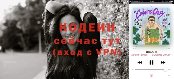 прущие грибы Алексеевка