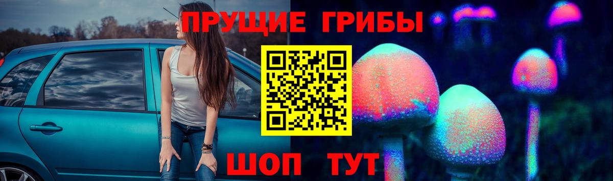 Псилоцибиновые грибы GOLDEN TEACHER  Вход с VPN  Татарск 