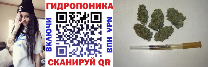 Бошки Шишки марихуана Татарск